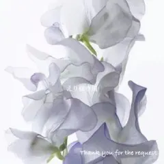 えり様 リクエスト 2点 まとめ商品