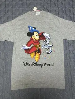 2XL】ディズニーワールド2015/パレード ヘインズ Tシャツ ビーフィー 
