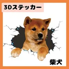 ステッカー　犬　柴犬　茶色　赤柴　シール　傷隠し　わんこ　雑貨　3D 　壁