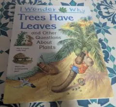 Item thumbnail for item d90e902a-67e1-4567-9025-b50b43b14249