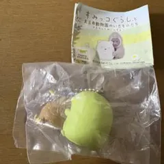 すみっコぐらし　◆ キーウィとぺんぎん？