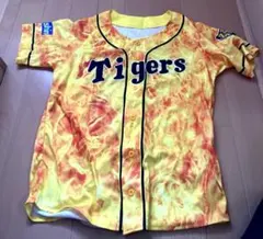 Item thumbnail for item 3d9ae2df-3168-4649-9905-f03a8ede25af