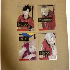 ハイキューファンパーク 箔押しクリアカードコレクション 音駒