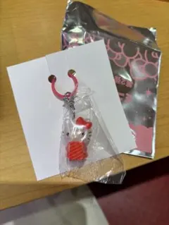 スシロー　ハローキティ　サンリオ　めじるし　第二弾　つくロー　チャーム　まぐろ