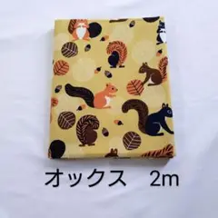 【g】生地　リス　オックス　2m