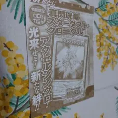⑬【遊戯王】真閃珖竜スターダストクロニクル　雑誌付録