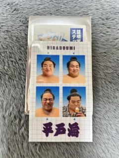 Item thumbnail for item 5e712f1d-1504-446d-8e76-5e70b57ec32f