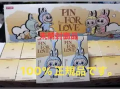 LABUBU THE MONSTERS PIN FOR LOVE (A-M)2箱