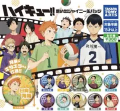 ハイキュー!! 思い出シャイニー缶バッジ 全11種セット