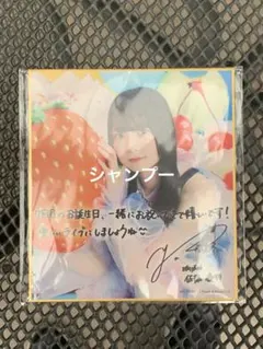 日向坂46 ひなコレ チャレンジくじ C賞 色紙　正源司陽子 日向坂46 ひなコレ チャレンジくじ C賞 サイン ミニ色紙 正源司陽子