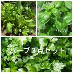 lottazina様 リクエスト 4点 まとめ商品