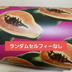 チャウヌ　セルフィーなし　Kiwee VER.　ELSE 　トレカ　ポスター