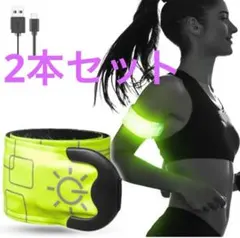 Item thumbnail for item 31ad487b-34d1-49f3-aabb-9efeb99beaad