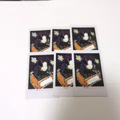 &TEAM Back to Life FUMA6枚セット