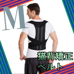 Item thumbnail for item 4341a5f8-88ff-4210-9734-fcb11964cea6