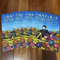 舞台 ハロルドとモード TravisJapan 七五三掛龍也 フライヤー