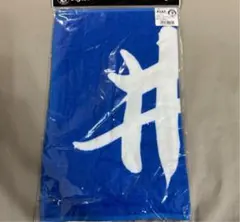 新品　未使用　阪神タイガース 井上広大　ユニフォーム　刺繍 ミズノ 井上 阪神タイガース 井上広大 ユニフォーム 刺繍 ミズノ 井上