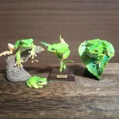 カエルフィギュア 4体セット ネイチャーテクニカラーなど