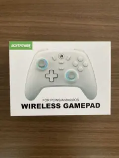 ECHTPOWER WIRELESS GAMEPAD