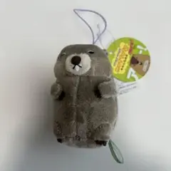 【新品未使用】もっともーっとマーモット　moreもあ　グレー色　全長8cmほど