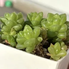 ななみー☺︎様 リクエスト 6点 まとめ商品