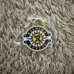 柏レイソル カラビナキーホルダー