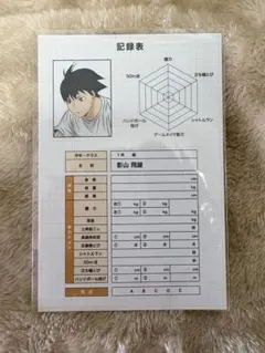ハイキュー 影山飛雄 アニメイト 特典 ポストカード