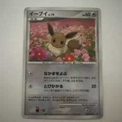ポケモンカードイーブイ 063/dp-p とりかえっこ DP プロモ渦巻ホロあり PSA8】イーブイ とりかえっこDP プロモ 063/DP-P 【公式通販】