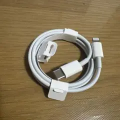 USB-C to Lightningケーブル 1m 、コンセントプラグ2個USB