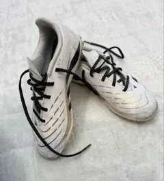 Item thumbnail for item 88f44fe5-12b4-4e1f-8e5a-54e289b83e6a