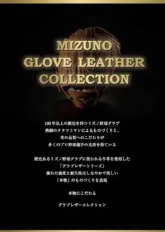 Item thumbnail for item 9a95be39-176b-46b6-9925-16b51b062181