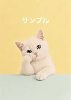 【一作限り】肘をついてこちらを眺めるクリーム白猫ちゃん　P068のサムネイル