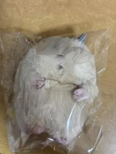 りぶはあと はむにぎり マスコット きなこ