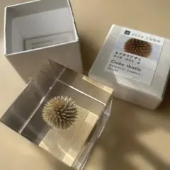 ウサギノネドコ　ソラキューブ　sola cube　ルリタマアザミ