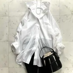 極美品 エブリデイアイライク Cotton Sheer シャツ 白 2025 極美品 エブリデイアイライク Cotton Sheer シャツ 白 2025 - メルカリ