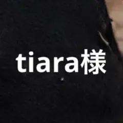 専用
