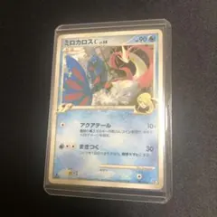 2025年最新】ミロカロスC[チャンピオン]の人気アイテム - メルカリ