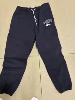 Item thumbnail for item d4f8db52-d3b8-4119-a70d-f0151e9bdbe5