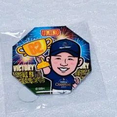 若鷹ガチャ 海野隆司 ファンフェス 缶バッジ