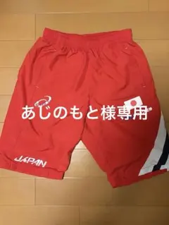 な*】様 (非売品) 水泳 競泳 日本代表 支給品 短パン ✨MIZUNO ミズノ 競泳日本代表 支給品パンツ L 激レア✨ - メルカリ