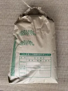 令和7年産 石川のと産こしひかり 玄米 20kg+㌁ - メルカリ