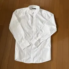 Item thumbnail for item c6b40a12-a7da-43a2-895f-66202b01ed0a