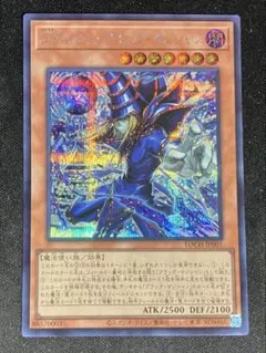 王のしもべ-ブラック・マジシャン シク シークレットレア - メルカリ