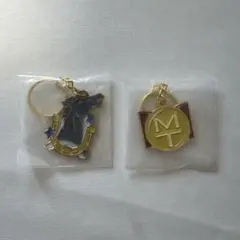 一番くじ ジョジョの奇妙な冒険　スティールボールラン H賞 メタルチャーム　2種のサムネイル