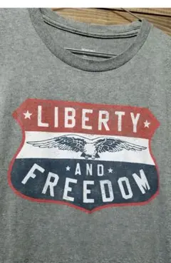 ロゴ　グレー　灰色　シンプル　英字　鳥　Tシャツ　半袖　古着のサムネイル