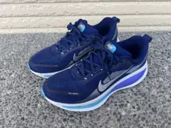 Item thumbnail for item c0be717f-1b7d-4324-8b1d-5e07d28e119d