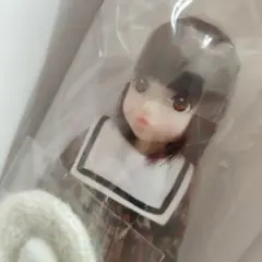 未使用 CCSgirl 15AN ruruko PS ペットワークス