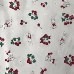 Item thumbnail for item e651c769-920a-4019-97e6-5105106e37fe