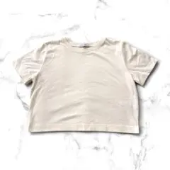 JEANASiS ジーナシス ショート丈 Tシャツ フリーサイズ ホワイト