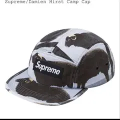 Supreme Damien Hirst Camp Cap